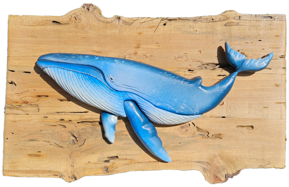 La baleine bleue